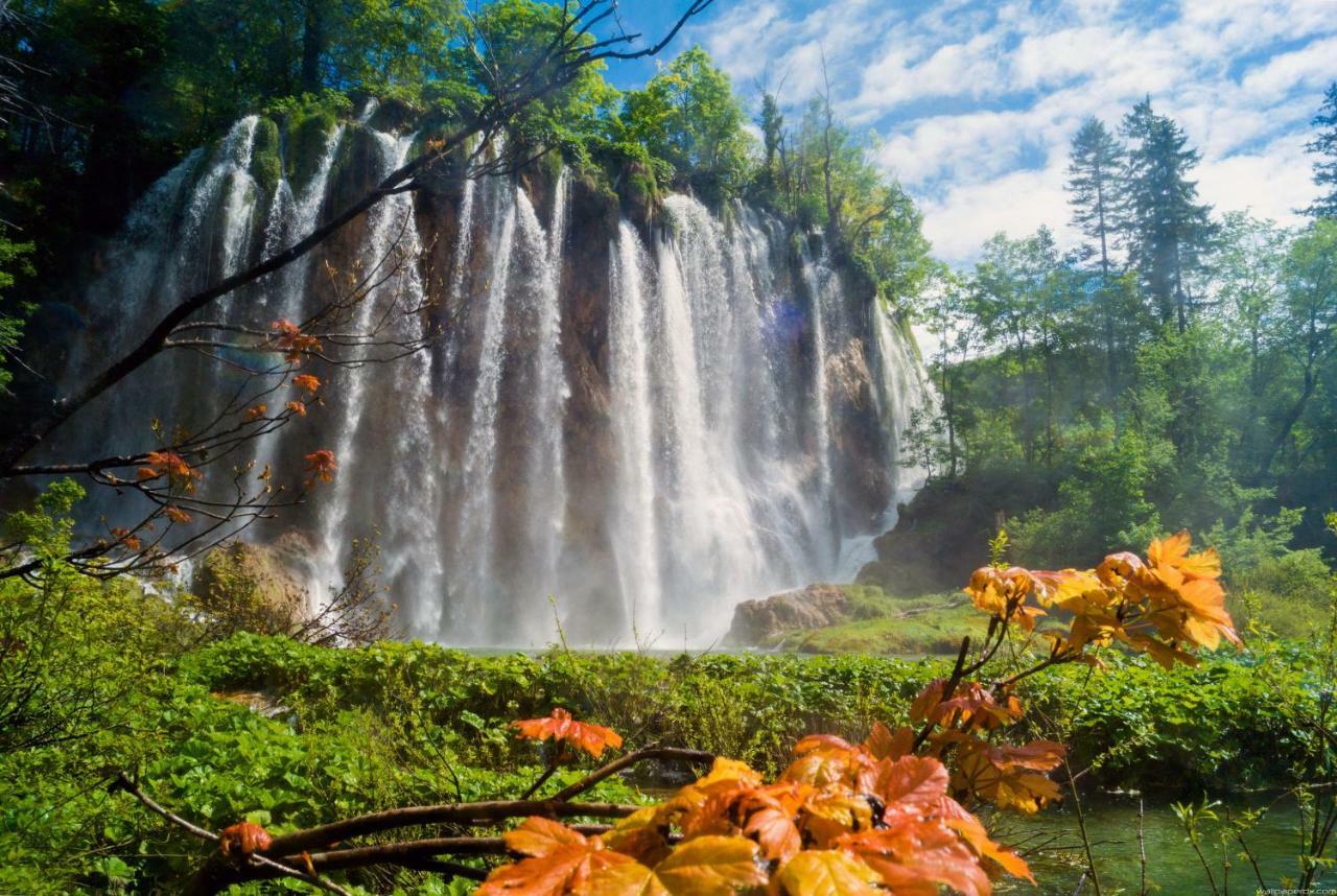 B&B Plitvice Lakes Villa Prica Plitvica selo Esterno foto