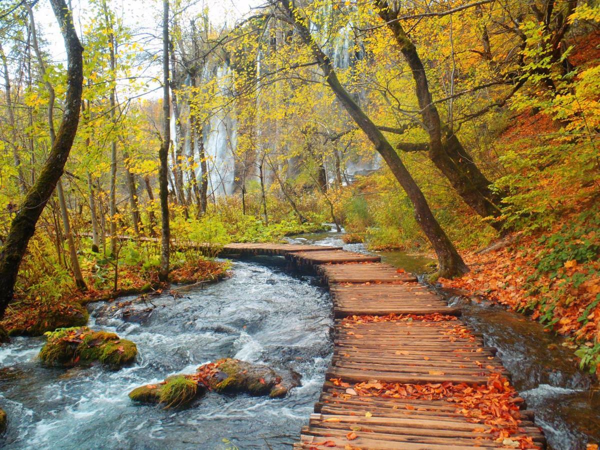 B&B Plitvice Lakes Villa Prica Plitvica selo Esterno foto
